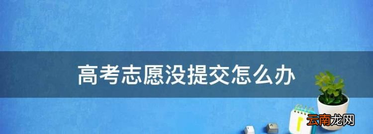 高考志愿没提交怎么办，高考志愿填报表怎么填