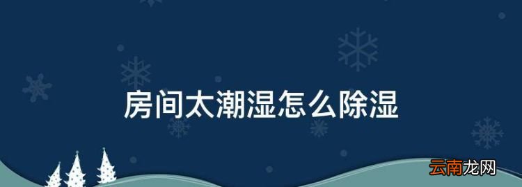 房间太潮湿怎么除湿，一楼房间太潮湿用什么除湿好