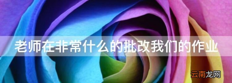 老师在非常什么的批改我们的作业