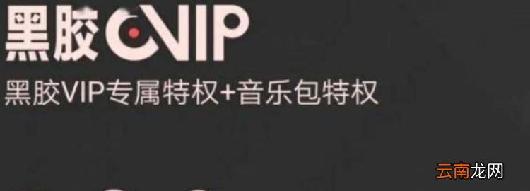 黑胶vip是什么意思，音乐包和黑胶vip区别