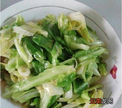 怎么炒圆白菜好吃