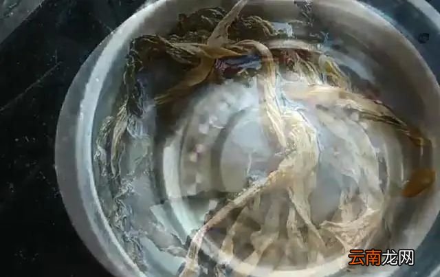 菜干怎么炒好吃，菜干炒肉怎么做好吃又简单