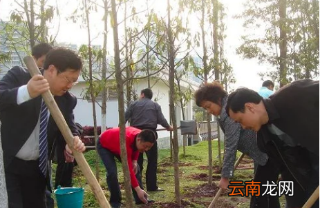 清明节传统风俗，清明节的风俗有哪些