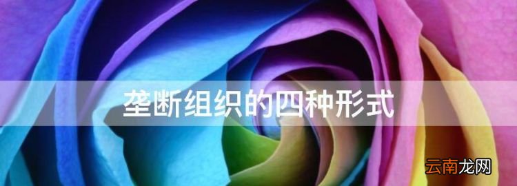 垄断组织的四种形式