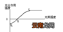 光饱和点的含义