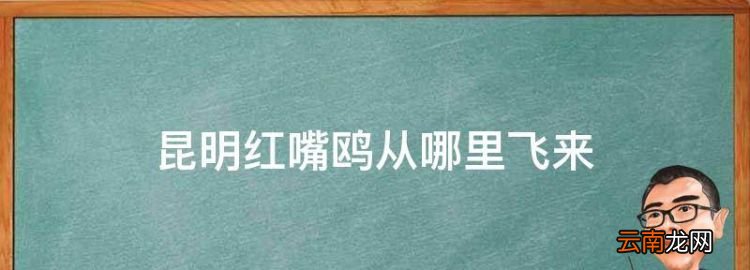 昆明红嘴鸥从哪里飞来，云南滇池的水是从哪里来的呢