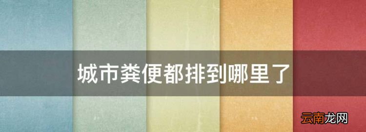 城市粪便都排到哪里了，城市公厕里的粪便都去哪了