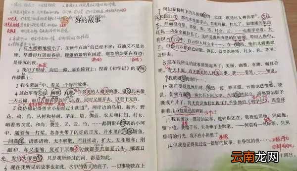 鲁迅的文章为什么被删