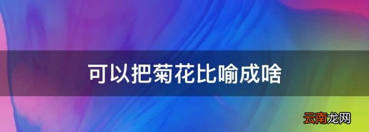 可以把菊花比喻成啥，菊花可以比作成什么