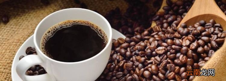 巢岸猫屎咖啡是进口吗，猫屎咖啡原产地是哪个国家