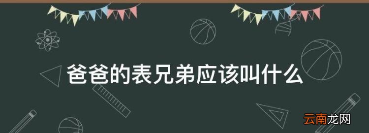 爸爸的表弟叫什么，爸爸的表兄弟应该叫什么