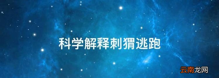 科学解释刺猬逃跑，晚上的刺猬为什么不能逮