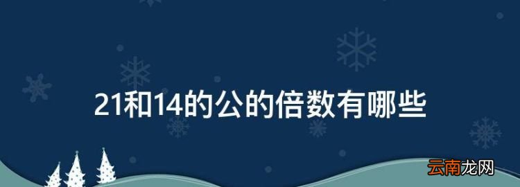 2和4的公倍数，2和4的公的倍数有哪些