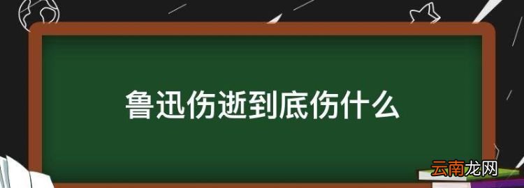 鲁迅伤逝到底伤什么