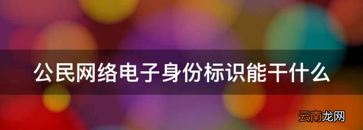 电子身份证有什么用，公民网络电子身份标识能干什么