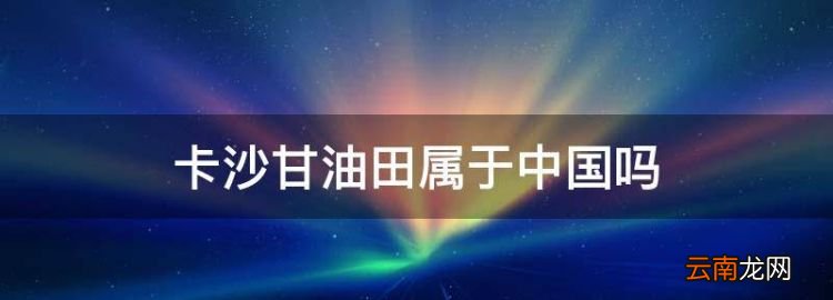 卡沙甘油田属于中国，国外小油田能被收购吗