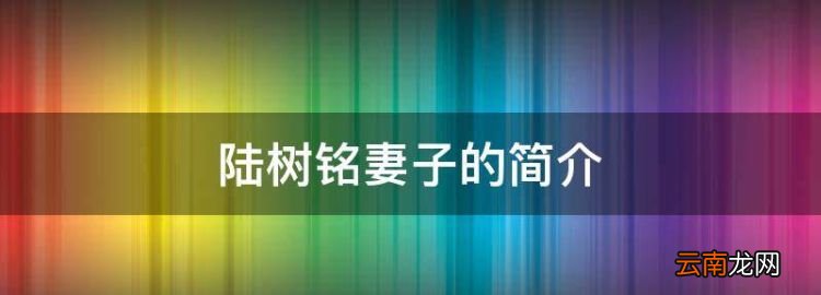 陆树铭妻子的简介，陆树铭前妻是张亚娟吗