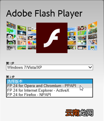 activex flash和ppapi flash的区别