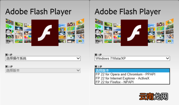 activex flash和ppapi flash的区别