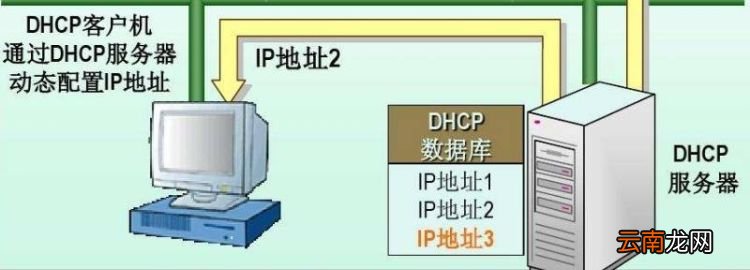 pppoe和dhcp区别