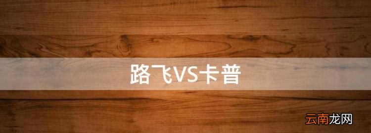 路飞VS卡普，路飞知道自己父亲是哪一集