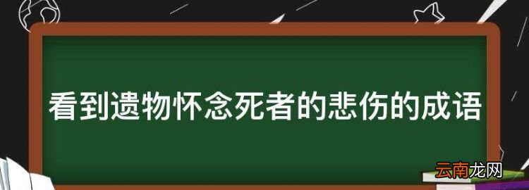 形容特别激动的成语，看到遗物怀念死者的悲伤的成语