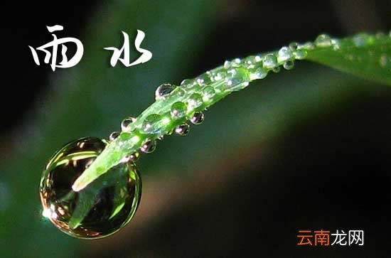 关于雨水的语录