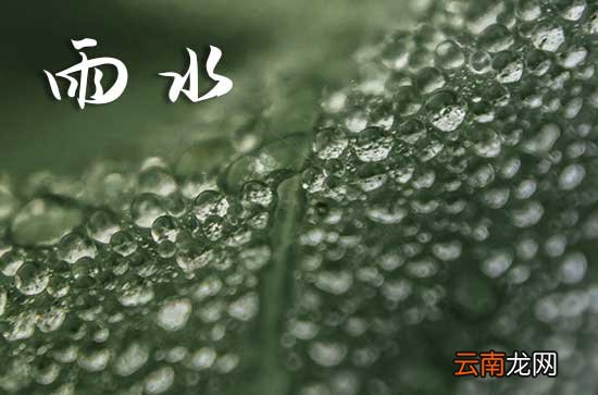 关于雨水的语录