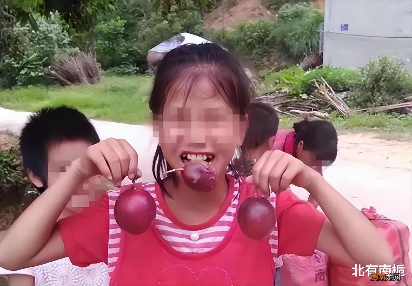 中国版素媛案：“百香果女孩”遇害，凶手极其残忍，仅赔偿32元
