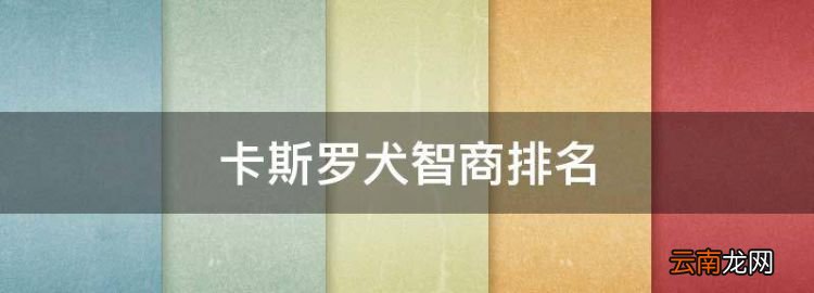 卡斯罗犬智商排名，恶犬排名犬排行榜前十名图片