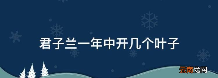 君子兰一年长几个叶子，君子兰一年中开几个叶子