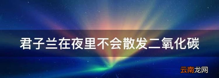 君子兰在夜里不会散发二氧化碳，君子兰晚上释放氧气还是二氧化碳