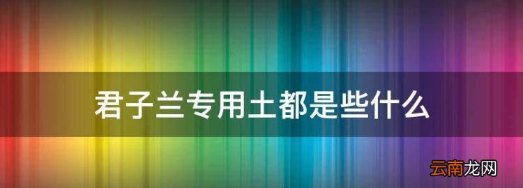 君子兰专用土都是些什么