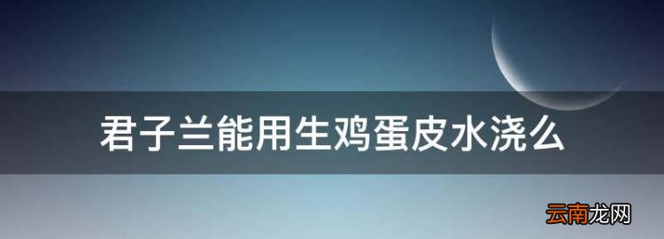 君子兰能用生鸡蛋皮水浇么