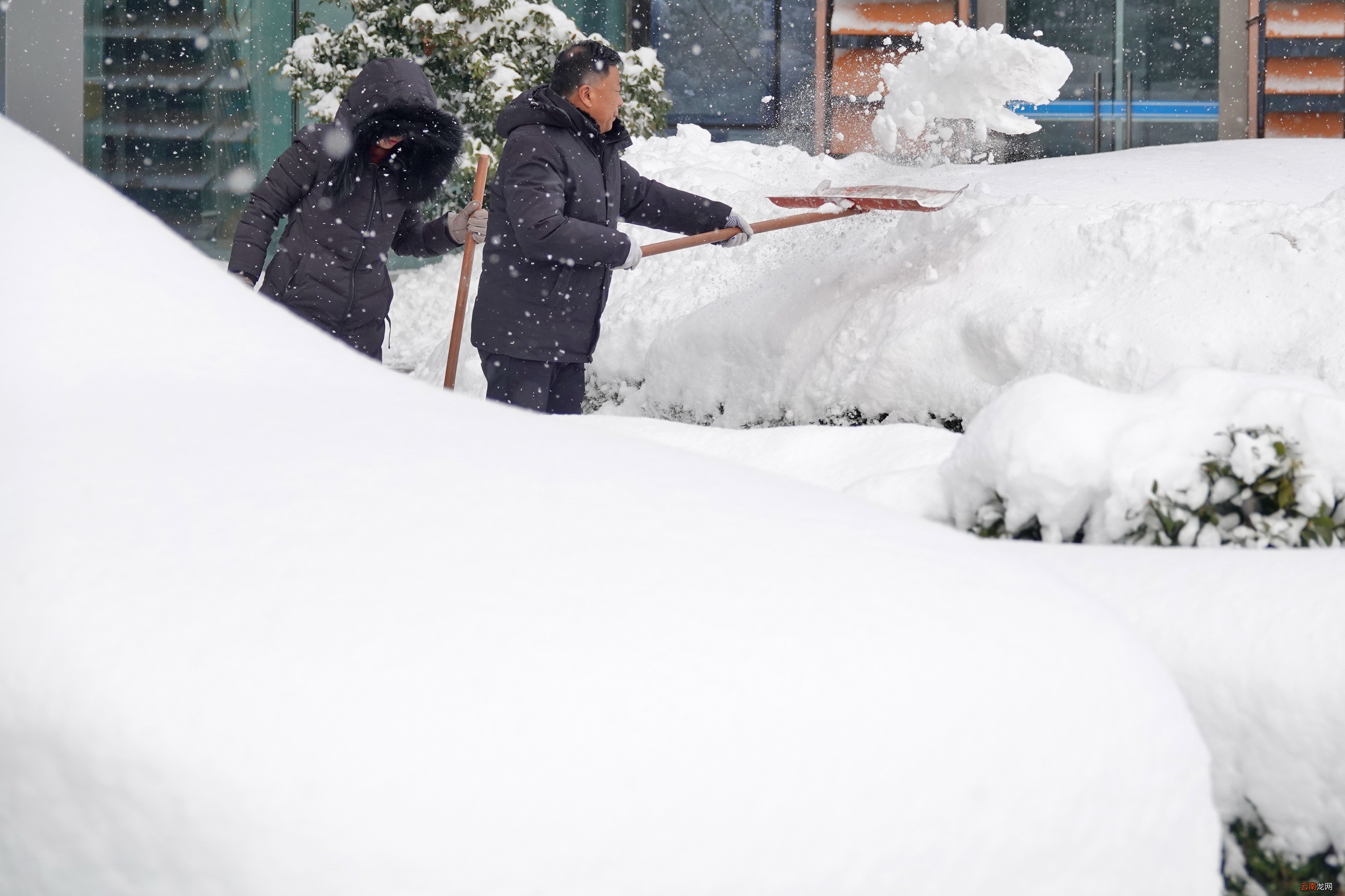 大雪后的烟台什么样？