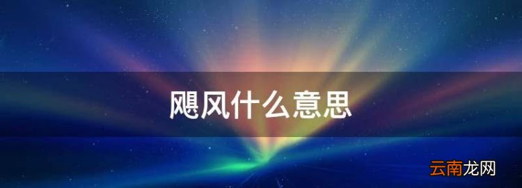 飓风什么意思，韩国黑骑士什么意思