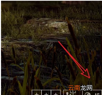 新版PUBG怎么选服务器，绝地生更新后怎么选择服务器