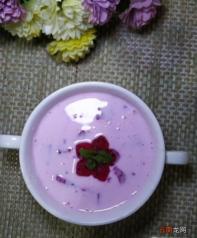 怎样自制美味的火龙果酸奶？