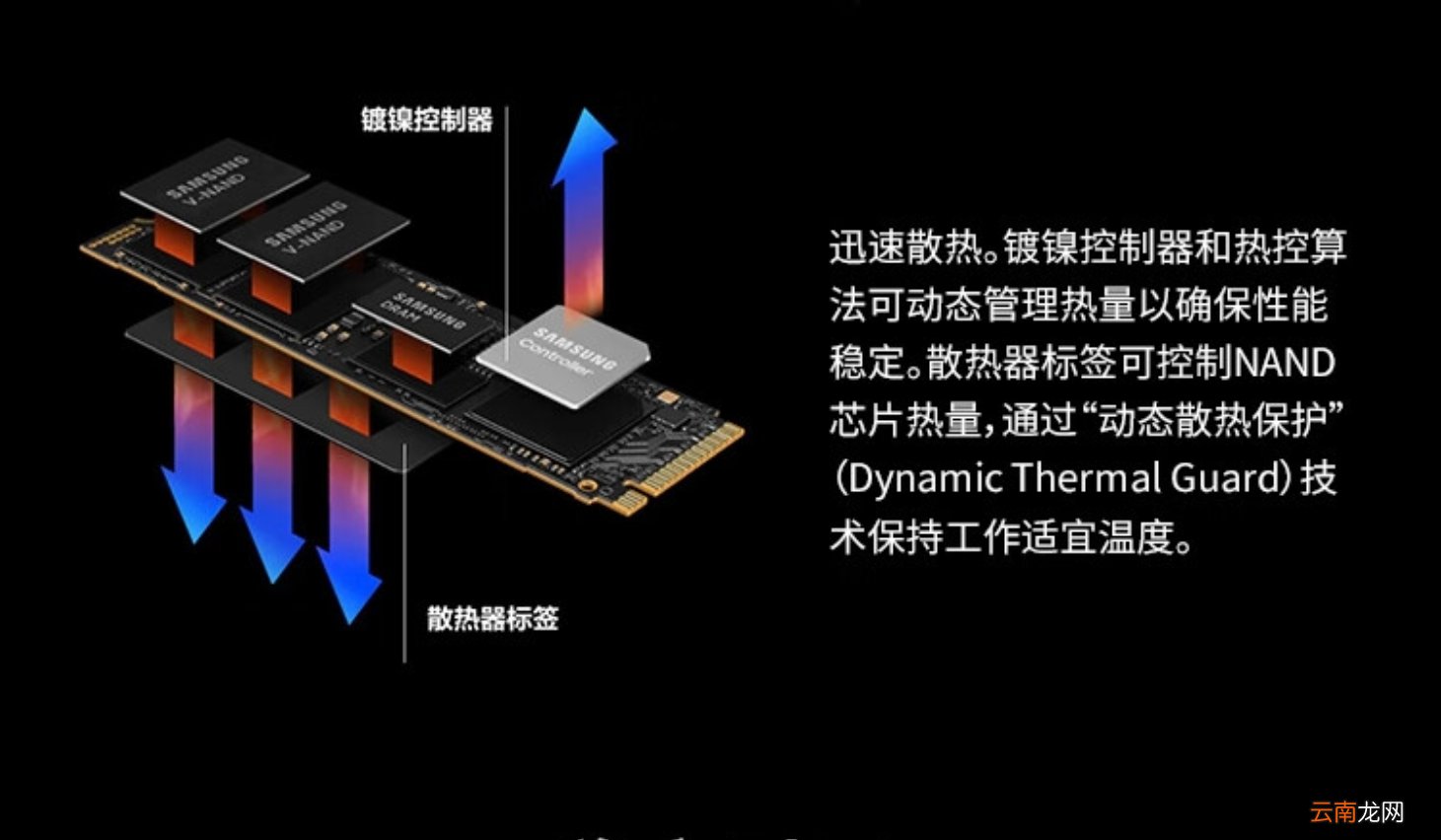 1TB固态硬盘销量榜：西部数据第2，长江存储仅排第3, 榜首让人意外