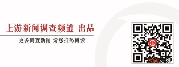 四川男子售卖自家26棵香樟判缓刑背后：人工栽种香樟算不算国家重点保护植物？