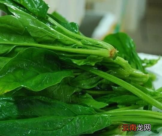 怎么样用菠菜汁做饺子皮？